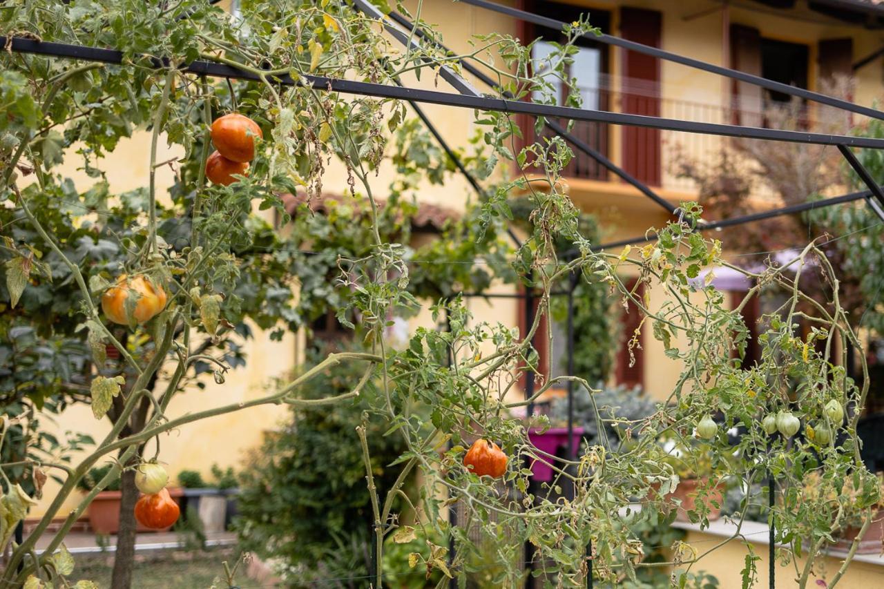 La Valle B&B Asti Exterior foto